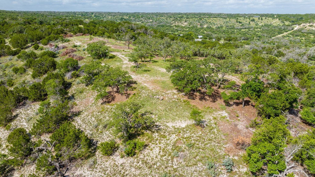 0 Doss-Spring Creek Road Doss, TX 78618 - Photo 13 of 18 a view of a big yard with lots of bushes