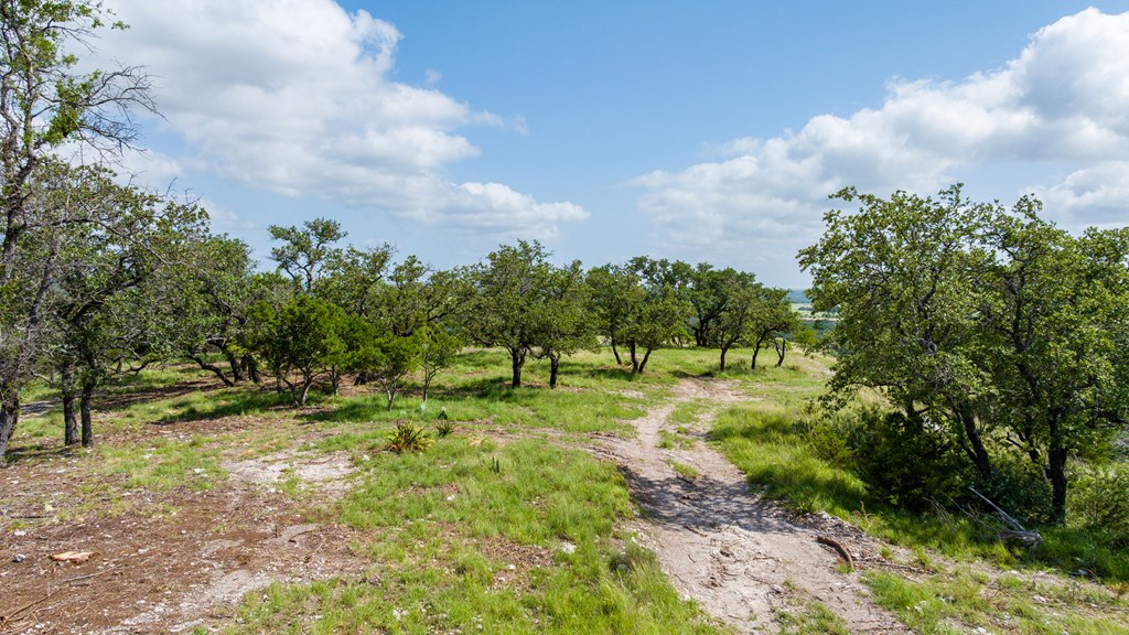 0 Doss-Spring Creek Road Doss, TX 78618 - Photo 15 of 18 a backyard of a house with lots of green space