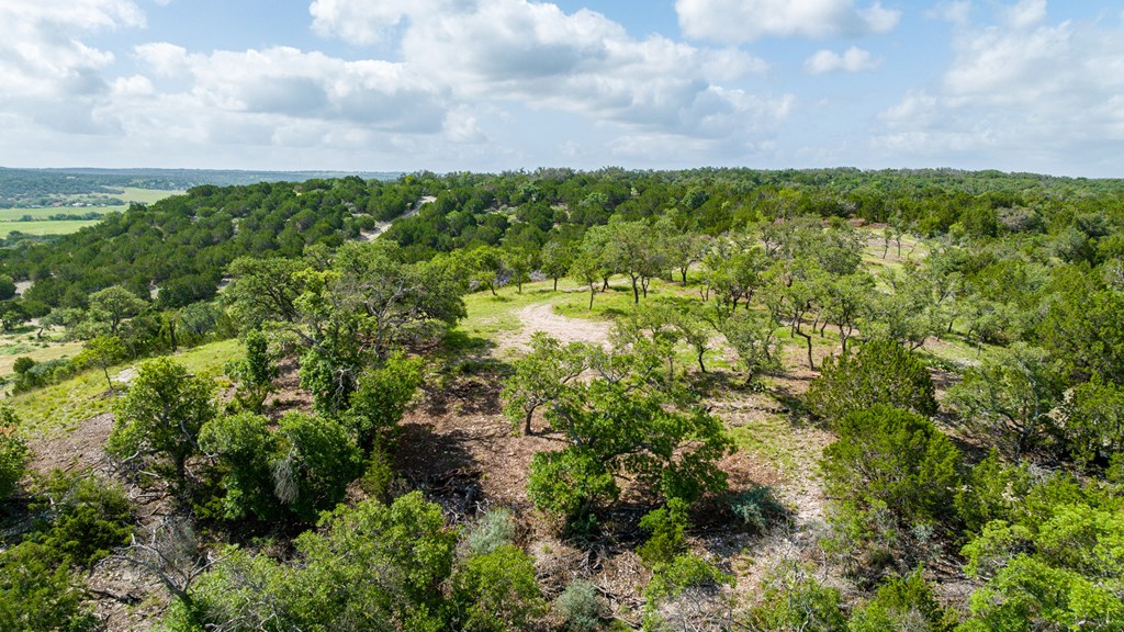 0 Doss-Spring Creek Road Doss, TX 78618 - Photo 16 of 18 a view of a bunch of trees
