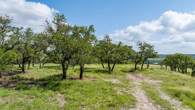a view of sink in the middle of a yard