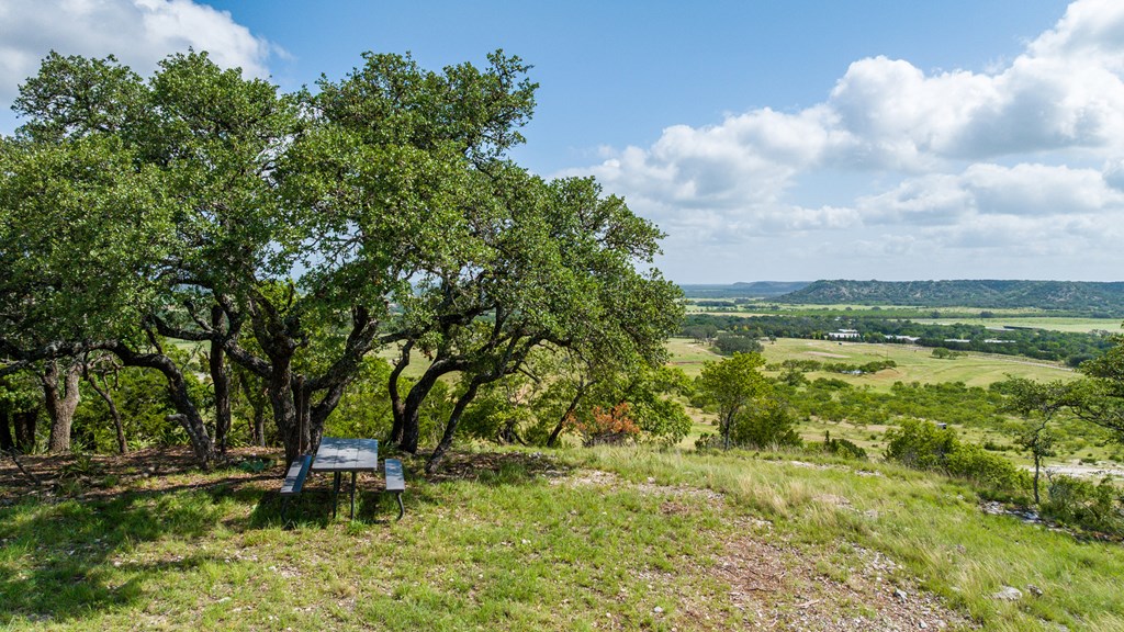 0 Doss-Spring Creek Road Doss, TX 78618 - Photo 5 of 18 a backyard of a house with table and chairs