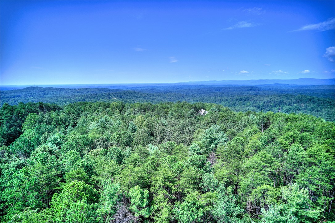 608 Tamassee Ridge Way Salem, SC 29676 - Photo 19 of 26 Gallery Image 19