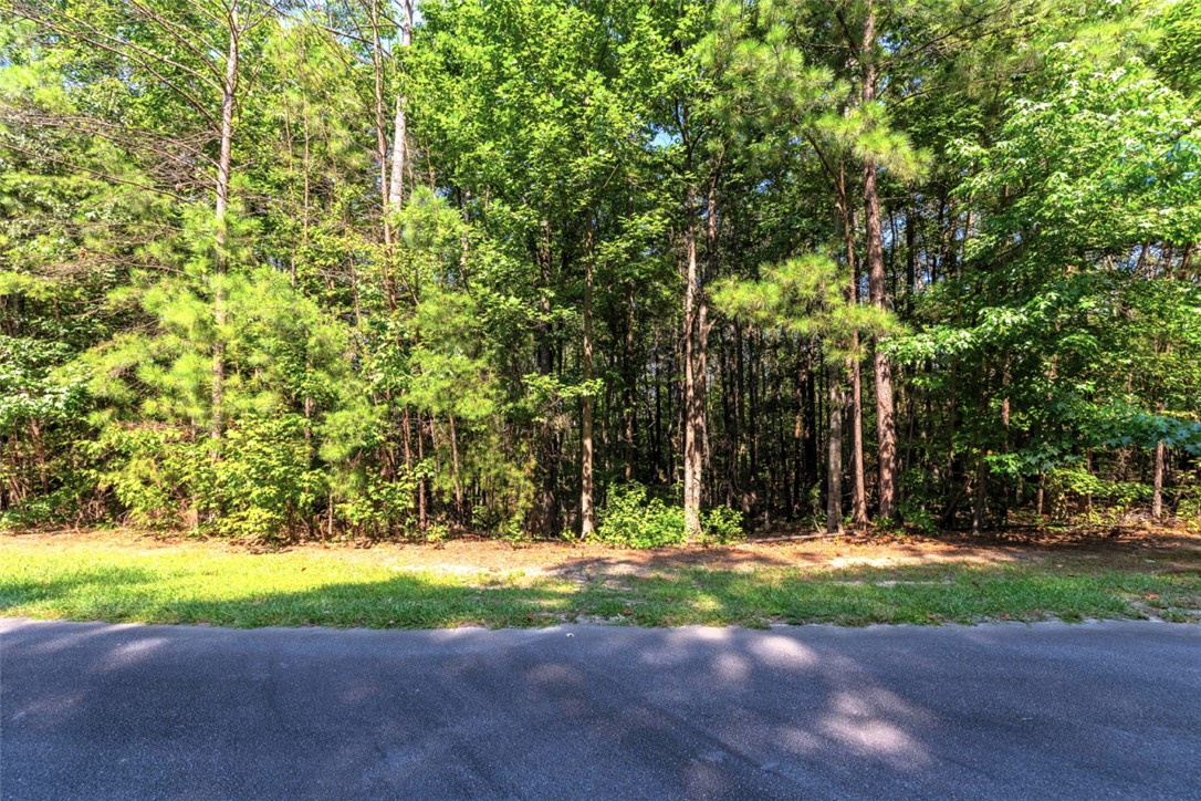 608 Tamassee Ridge Way Salem, SC 29676 - Photo 23 of 26 Gallery Image 23
