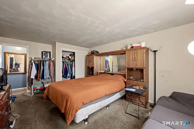 a bed room with a bed and a walk in closet