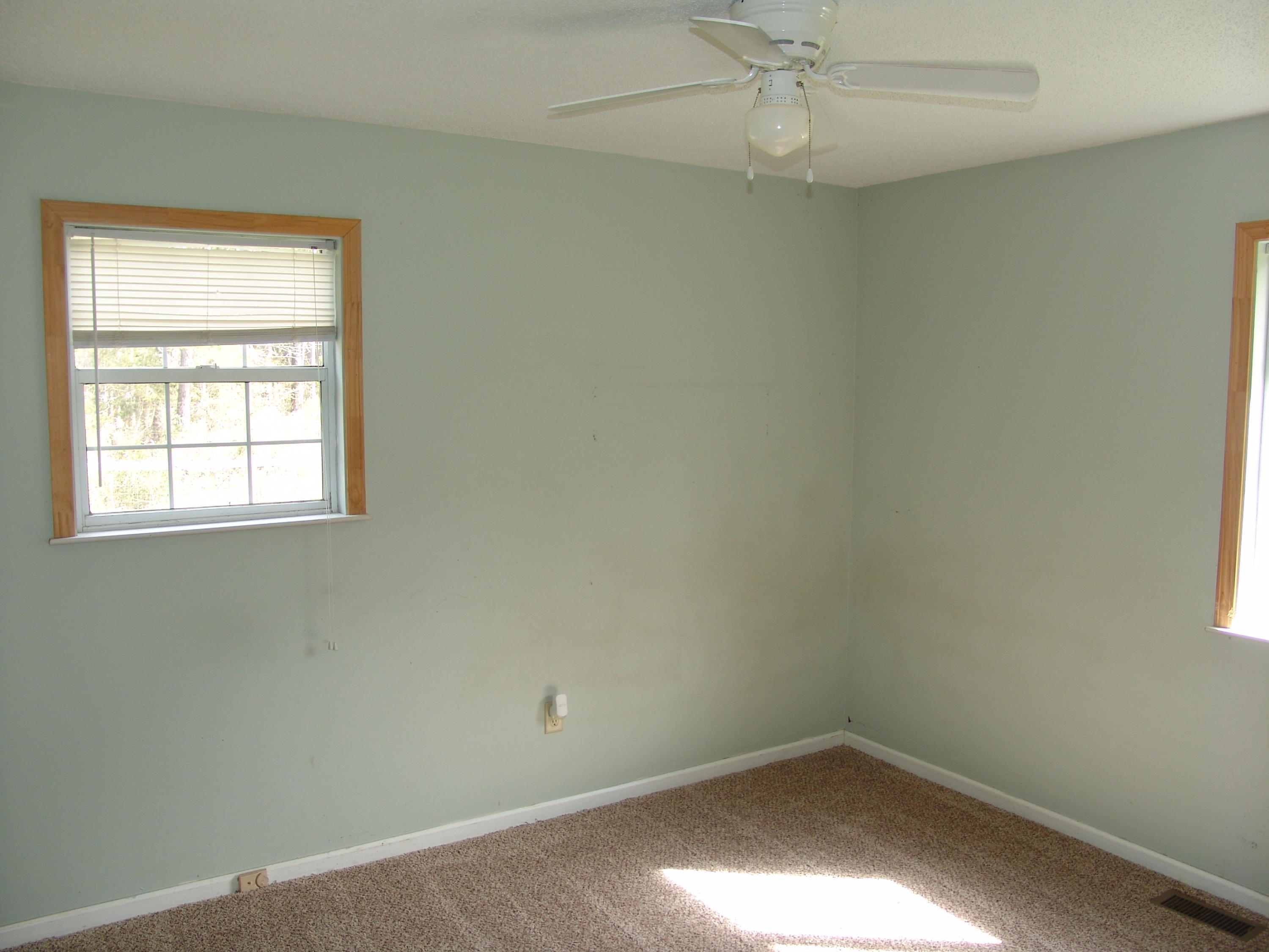 132 Earthas Way Ridgeville, SC 29472 - Photo 17 of 32 Master bedroom