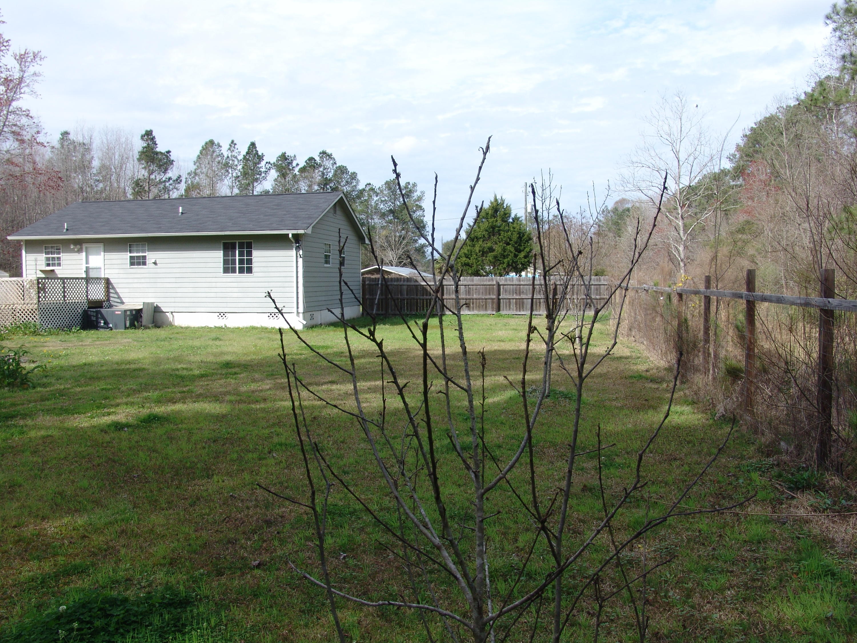 132 Earthas Way Ridgeville, SC 29472 - Photo 29 of 32 Back yard