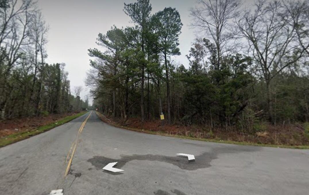 0 Coach Road Holly Hill, SC 29059 - Photo 2 of 3 1000005056
