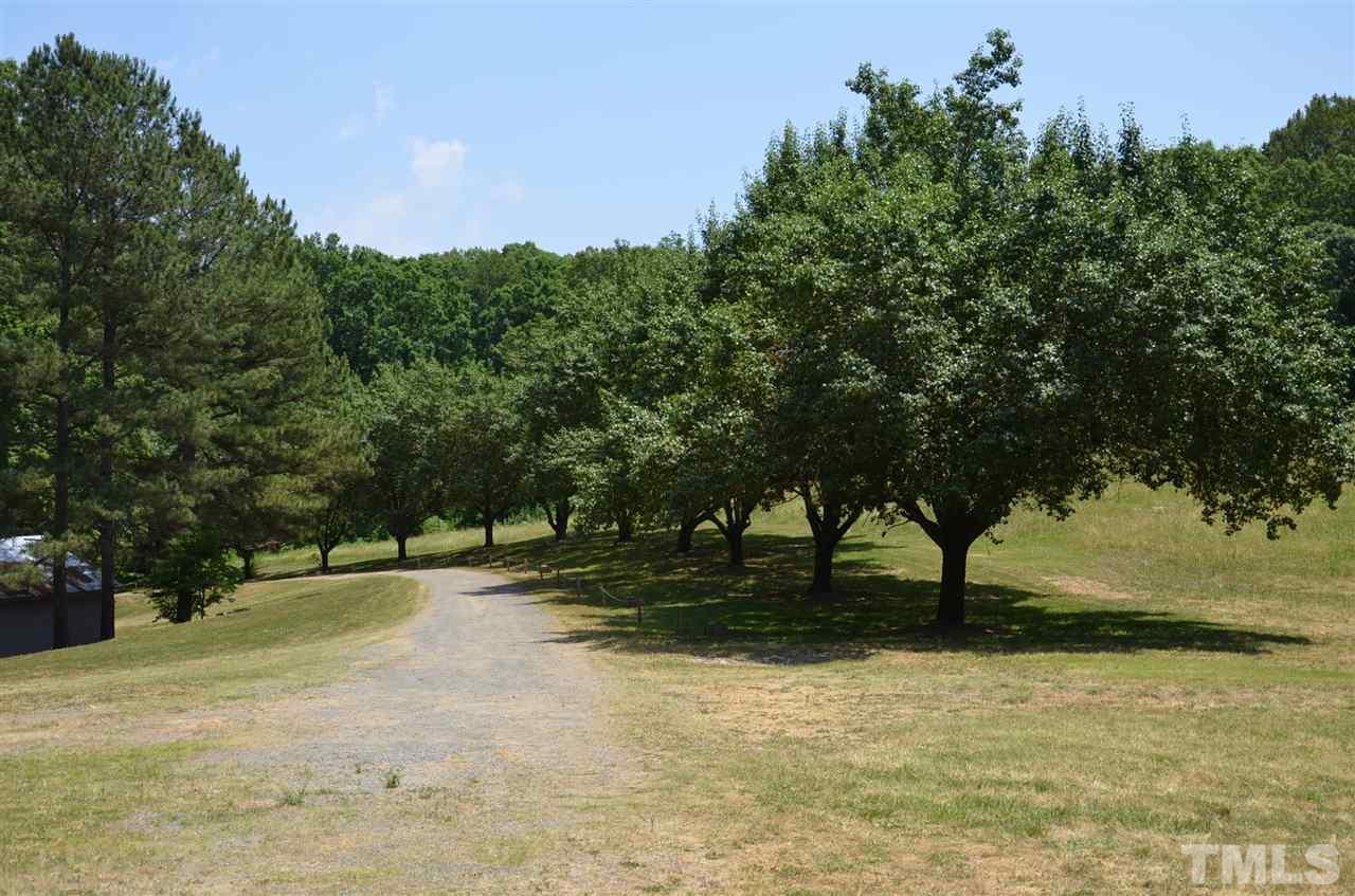 1000 Fate Washington Road Stem, NC 27581 - Photo 17 of 28 a view of backyard with green space