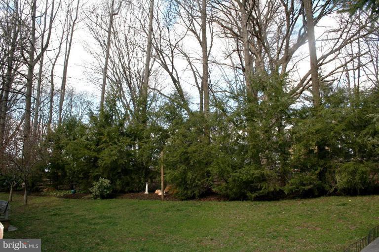 13411 Fork Road Baldwin, MD 21013 - Photo 26 of 30 Back yard