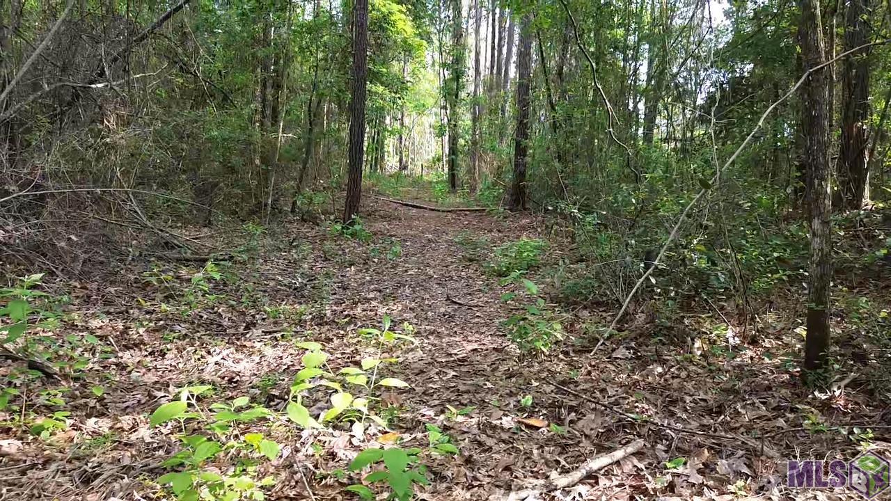 83166 Isabel Swamp Road Bush, LA 70431 - Photo 16 of 20