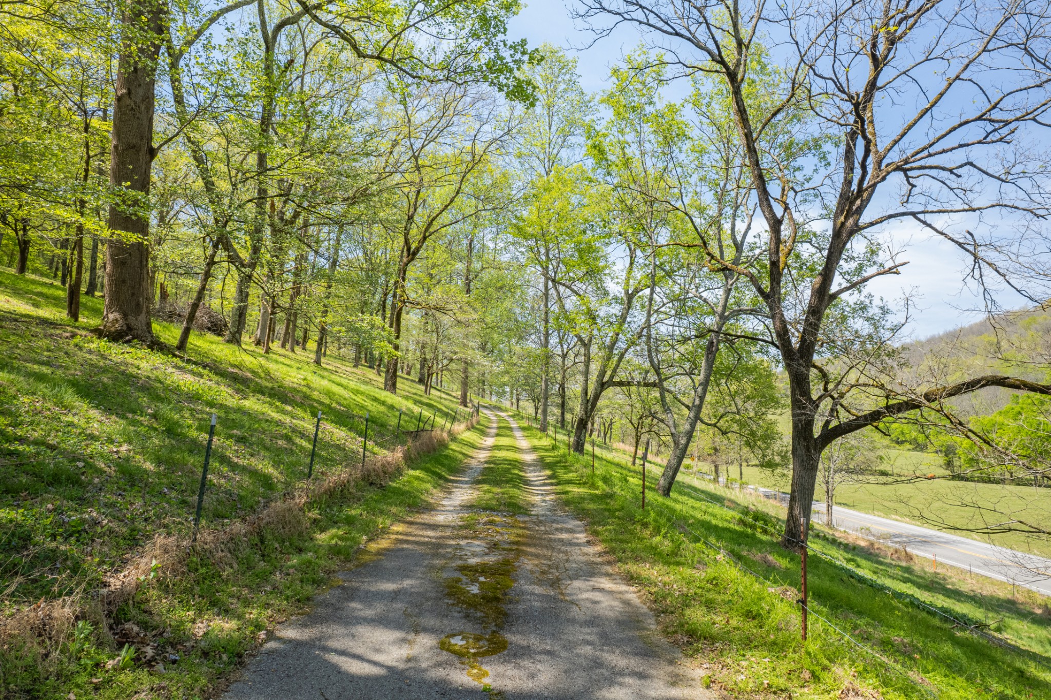 8039 Campbellsville Road Pulaski, TN 38478 - Photo 79 of 100