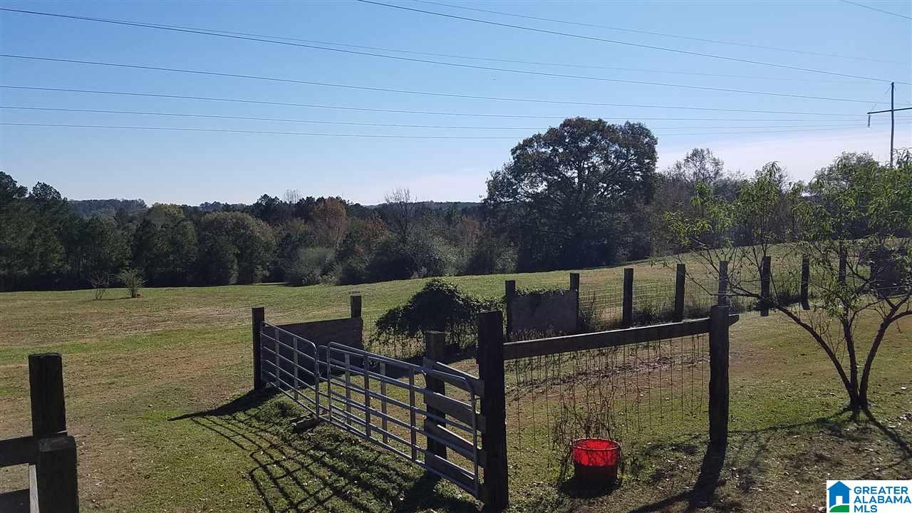 298 Bowerman Road Blountsville, AL 35031 - Photo 12 of 30