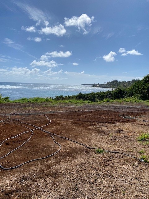 5166 Kukuna Road Kilauea, HI 96754 - Photo 1 of 4 Gallery Image 1