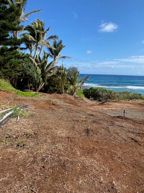 5166 Kukuna Road Kilauea, HI 96754 - Photo 4 of 4 Gallery Image 4