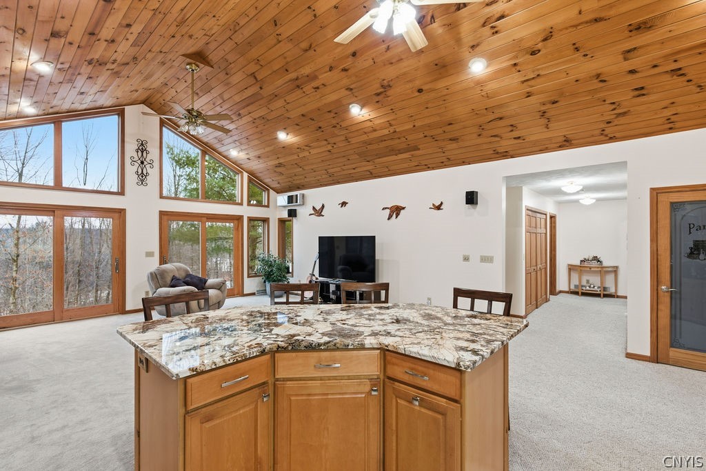 230 Jackson Road Palermo, NY 13036 - Photo 4 of 50