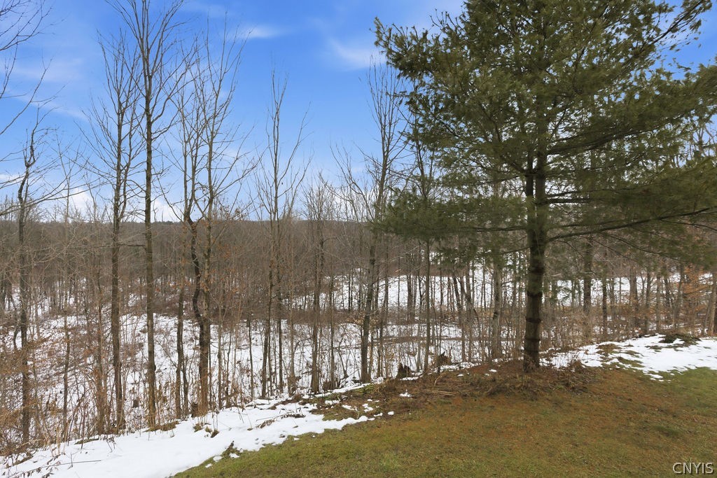 230 Jackson Road Palermo, NY 13036 - Photo 44 of 50