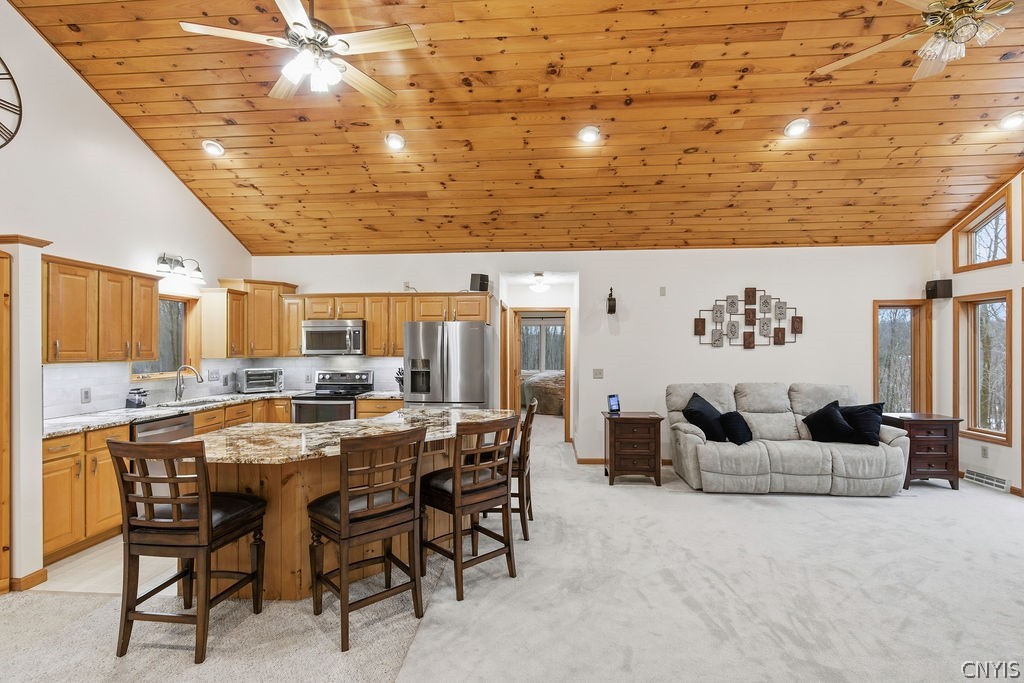 230 Jackson Road Palermo, NY 13036 - Photo 7 of 50