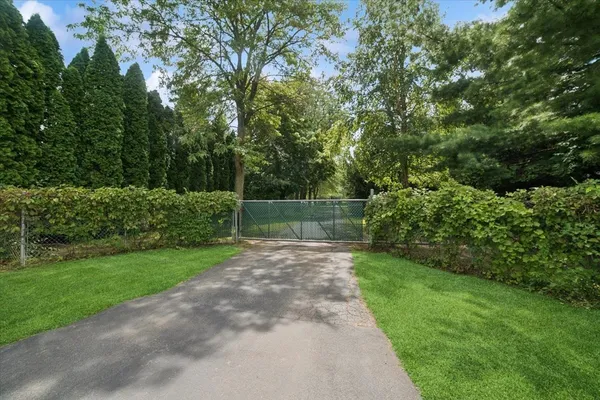 a view of a yard with a large trees