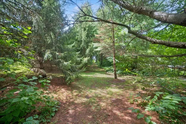 a big yard with lots of green space and house view