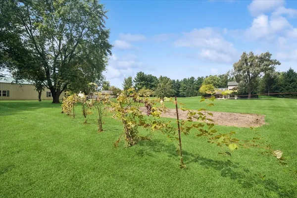a view of a park with large trees
