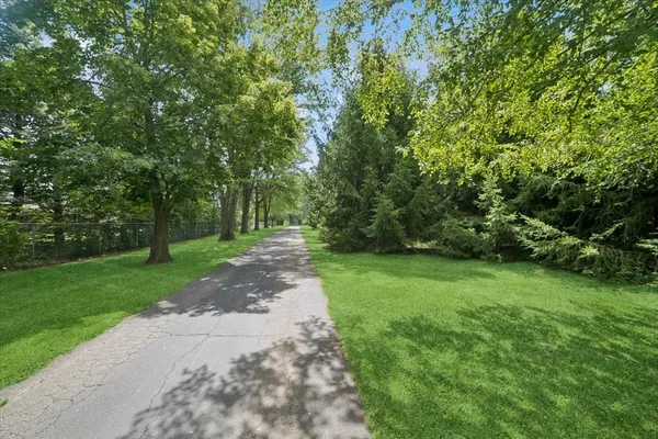 a view of a yard with plants and trees