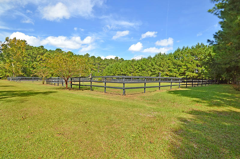 1389 Polly Point Road Wadmalaw Island, SC 29487 - Photo 57 of 84 DSC_0404-copy