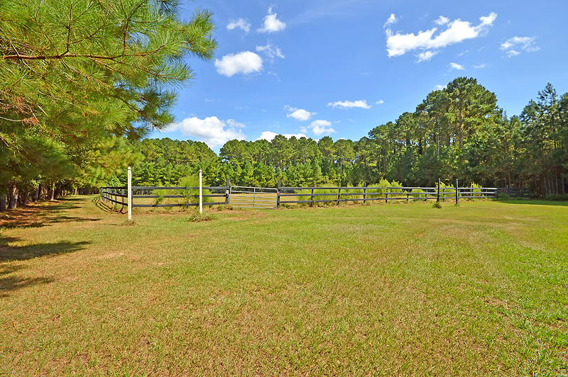 1389 Polly Point Road Wadmalaw Island, SC 29487 - Photo 58 of 84 DSC_0412-copy