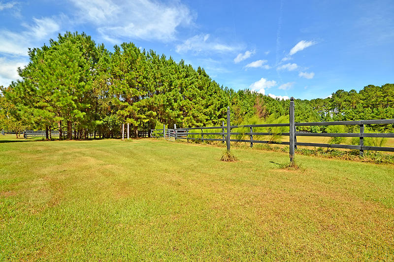 1389 Polly Point Road Wadmalaw Island, SC 29487 - Photo 61 of 84 DSC_0444-copy