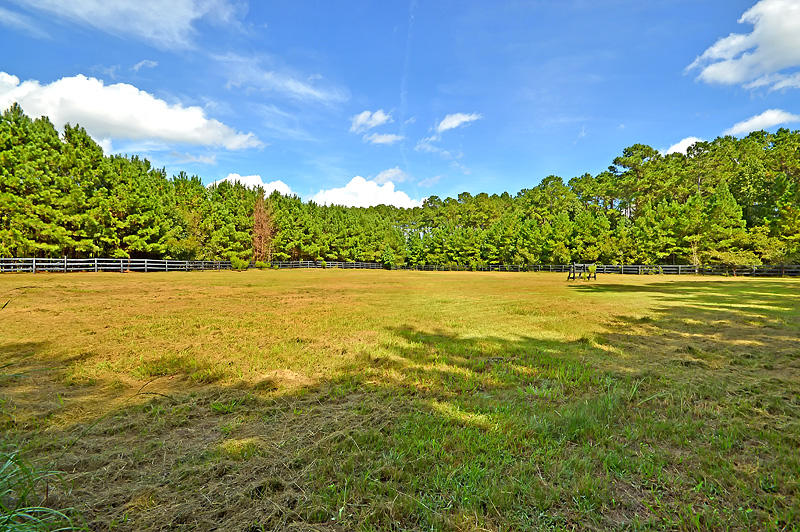 1389 Polly Point Road Wadmalaw Island, SC 29487 - Photo 62 of 84 DSC_0452-copy