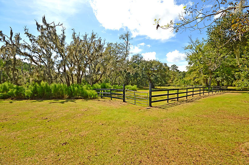 1389 Polly Point Road Wadmalaw Island, SC 29487 - Photo 67 of 84 DSC_0492-copy