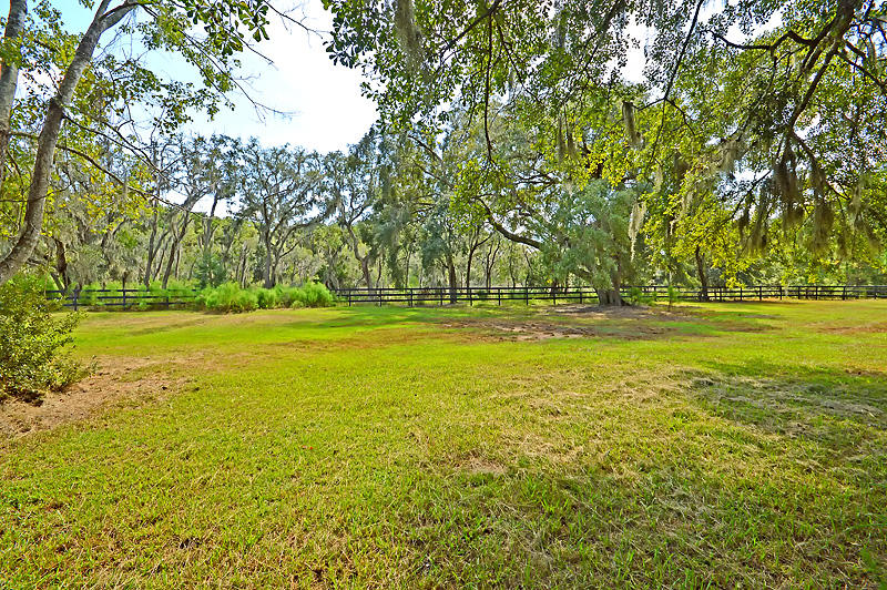 1389 Polly Point Road Wadmalaw Island, SC 29487 - Photo 69 of 84 DSC_0509-copy