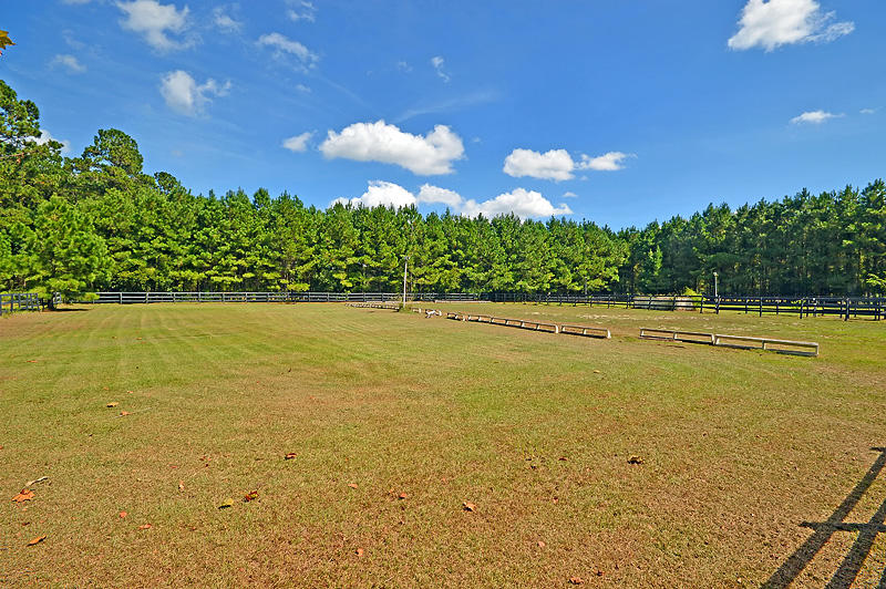 1389 Polly Point Road Wadmalaw Island, SC 29487 - Photo 71 of 84 DSC_0523-copy