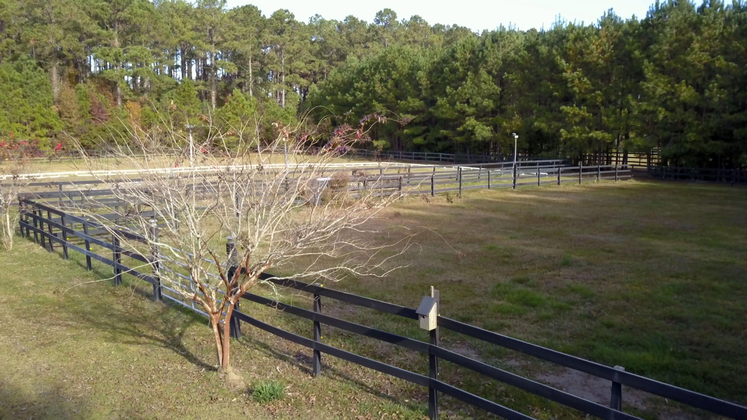 1389 Polly Point Road Wadmalaw Island, SC 29487 - Photo 78 of 84 4