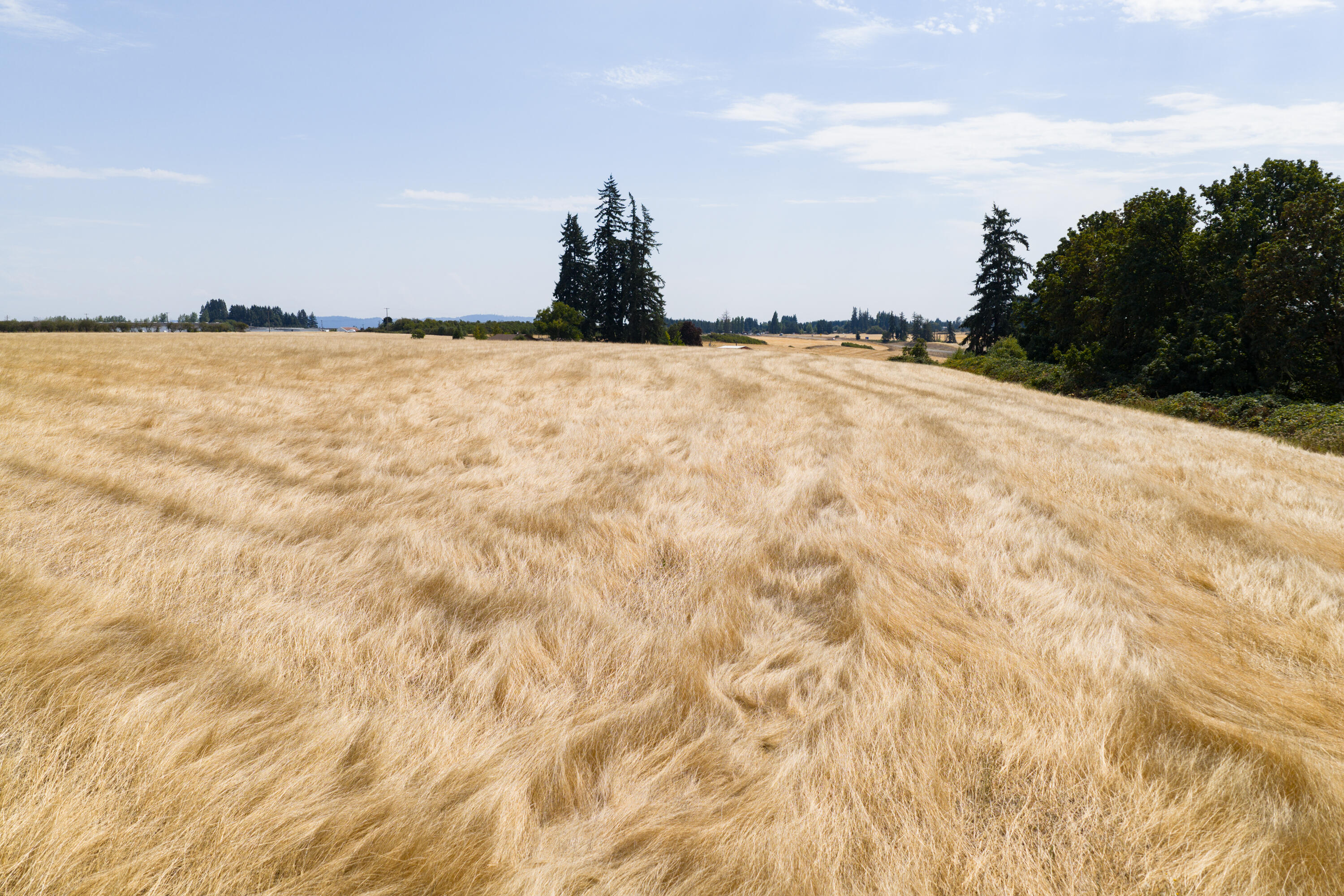 0 Dyck Road Dallas, OR 97338 - Photo 10 of 14 MIT-9
