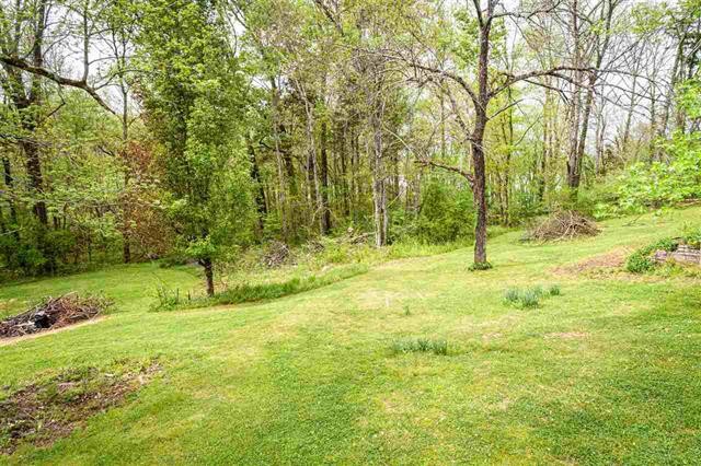 8092 Mt Carmel Road Decaturville, TN 38329 - Photo 16 of 24 a view of backyard with tree