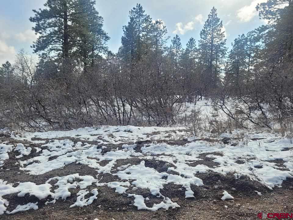 22 Ridgetop Drive Bayfield, CO 81122 - Photo 1 of 5 Gallery Image 1
