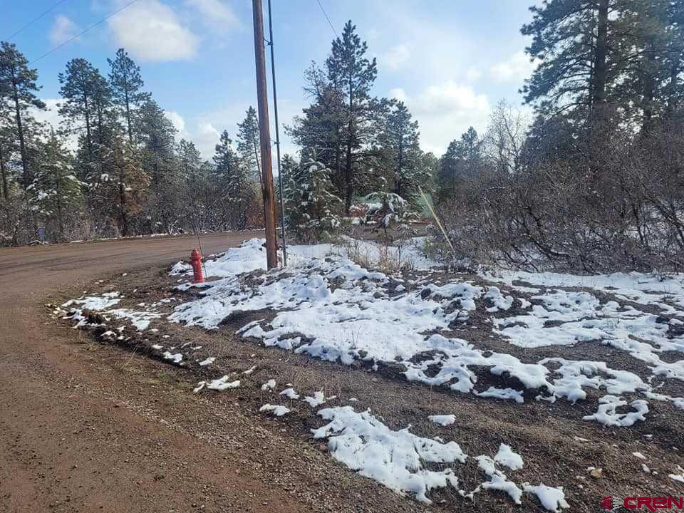 22 Ridgetop Drive Bayfield, CO 81122 - Photo 2 of 5 Gallery Image 2