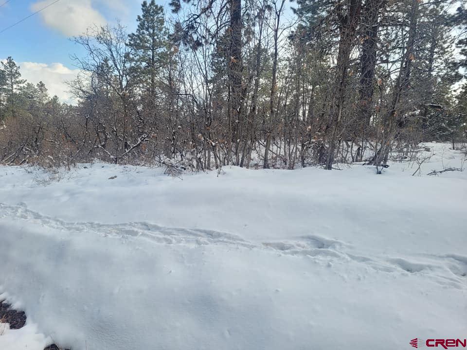 22 Ridgetop Drive Bayfield, CO 81122 - Photo 3 of 5 Gallery Image 3