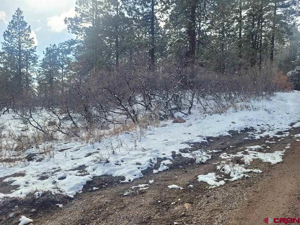 22 Ridgetop Drive Bayfield, CO 81122 - Photo 4 of 5 Gallery Image 4