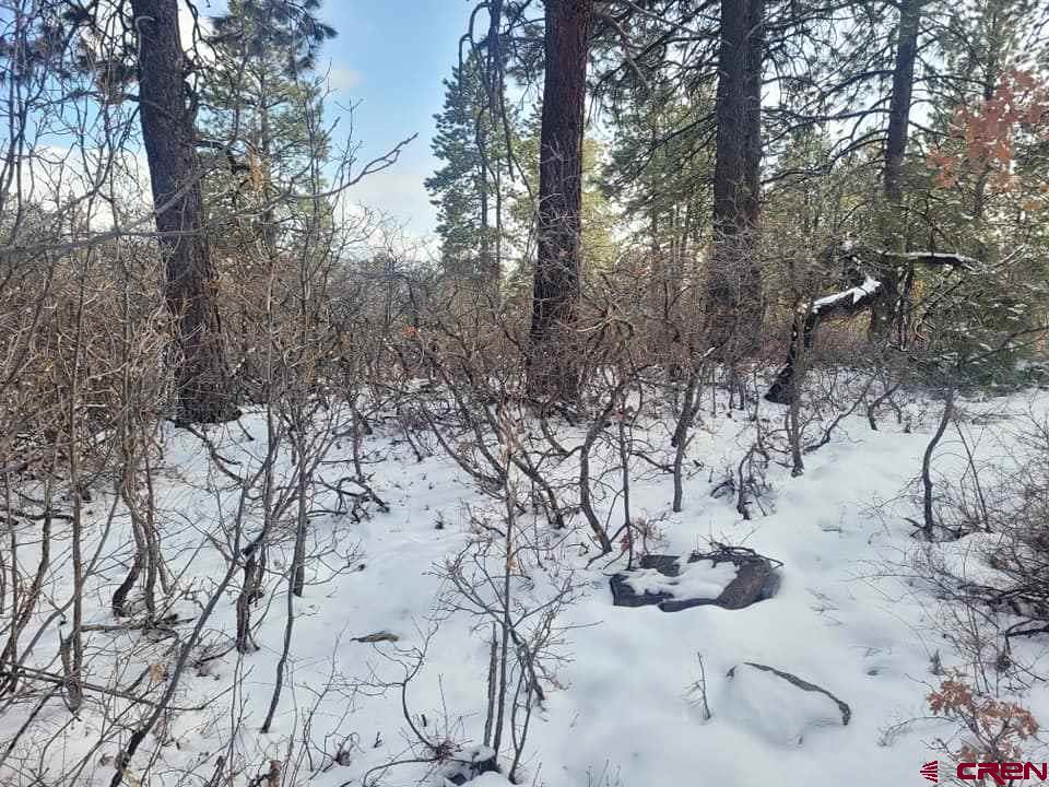 22 Ridgetop Drive Bayfield, CO 81122 - Photo 5 of 5 Gallery Image 5
