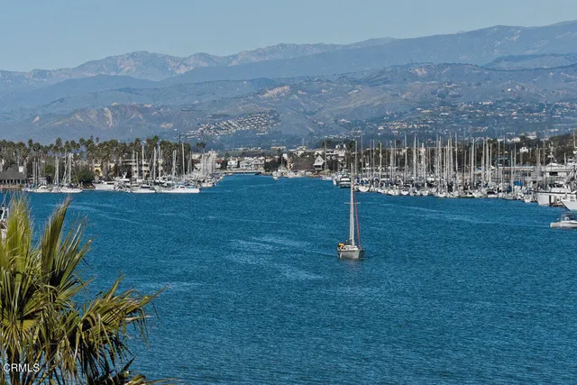 a view of a dry yard with wooden fence