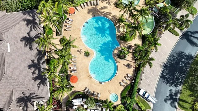 a view of a plant in a pot