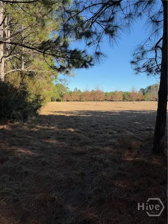 $495,000 | 3 C McCall Road, Springfield, GA 31329