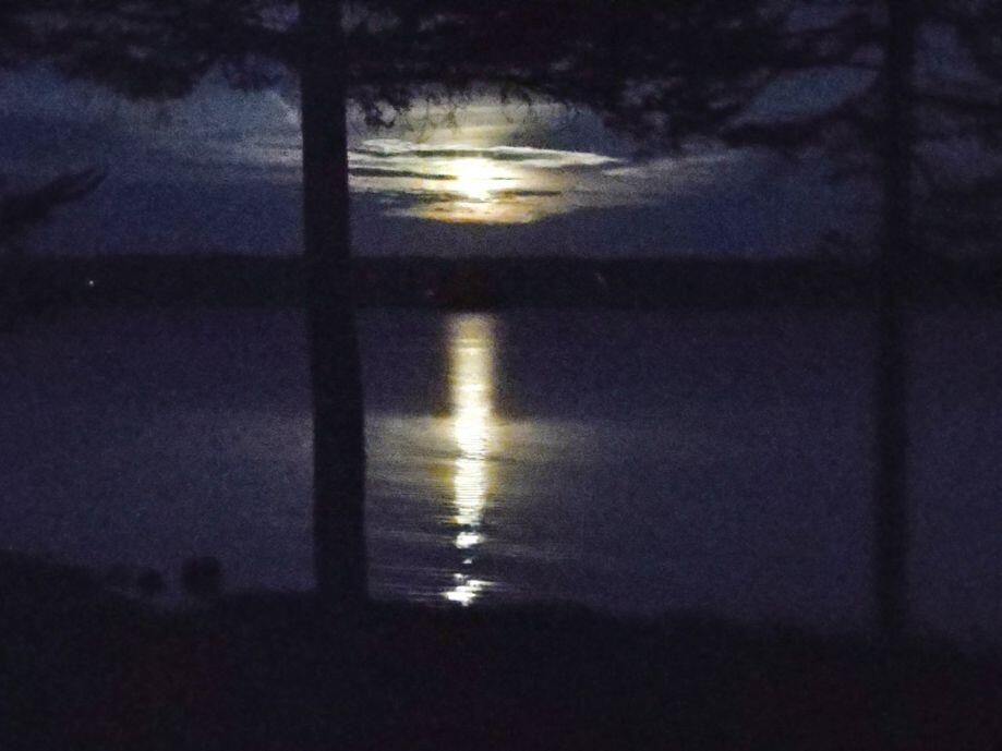 331 Paul Bunyan Road Corea, ME 04624 - Photo 59 of 62 moonrise