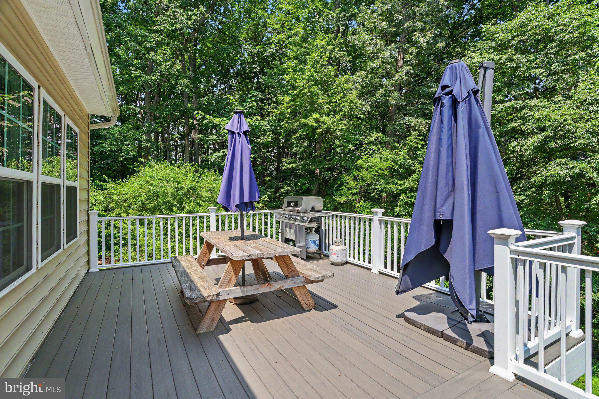 4761 Carea Road White Hall, MD 21161 - Photo 67 of 100