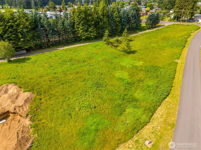 a view of a yard with swimming pool