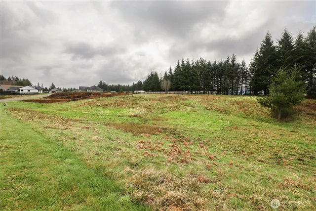 a view of an ocean and beach