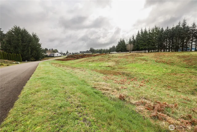 a view of a yard with an trees