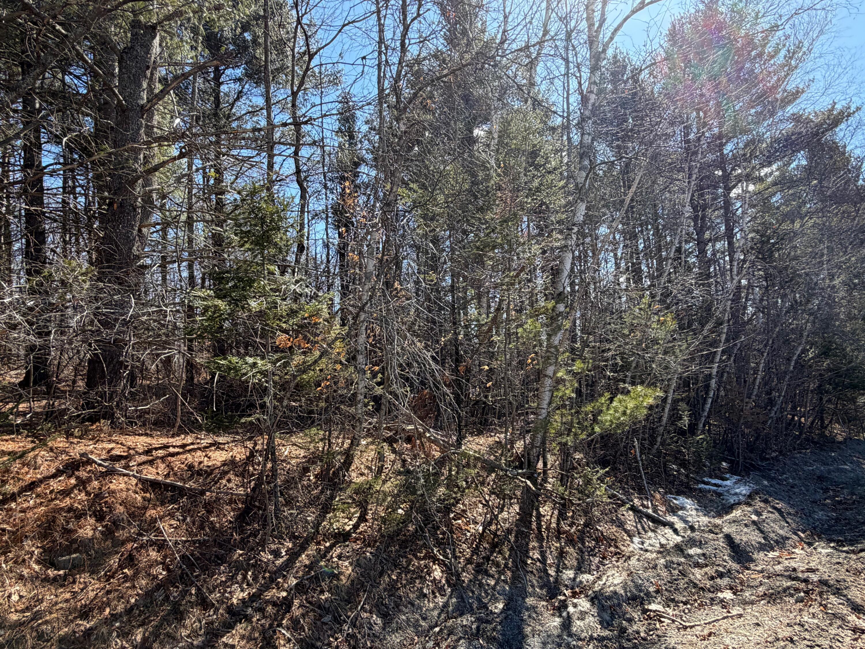 10 Map Road St. Albans, ME 04971 - Photo 3 of 6 3