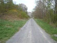 a view of a pathway with a yard